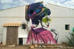FIN DAC